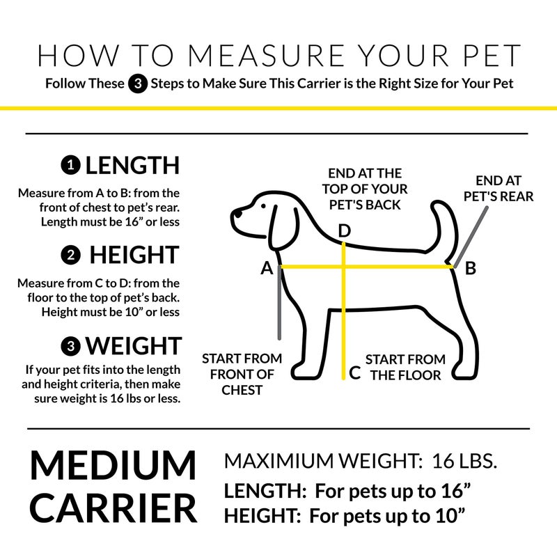 rocket & rex Dog Carrier Airline Approved. Soft-Sided Cat Carrier, Pet Carrier. Everyday Use, Car, Plane Travel. Collapsible, Rigid Frame for Easy Storage. - Image 2
